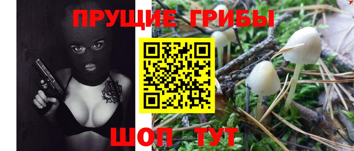 Кохма  Галлюциногенные грибы Psilocybe  Галлюциногенные грибы ЛСД  Вход с VPN 